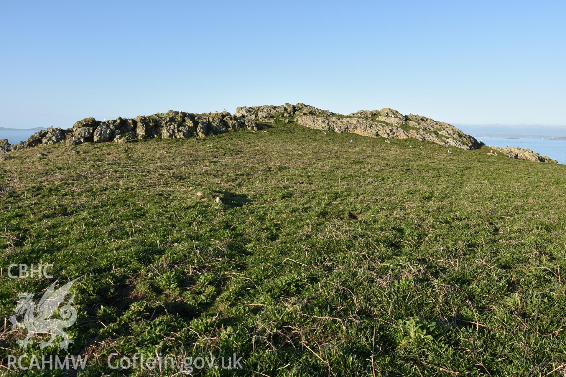 Skomer Island cairn group 1. Field survey 19 April 2018. General view of cairn cemetery and northern outcrop with low vegetation, with ranging rods marking cairns B and C