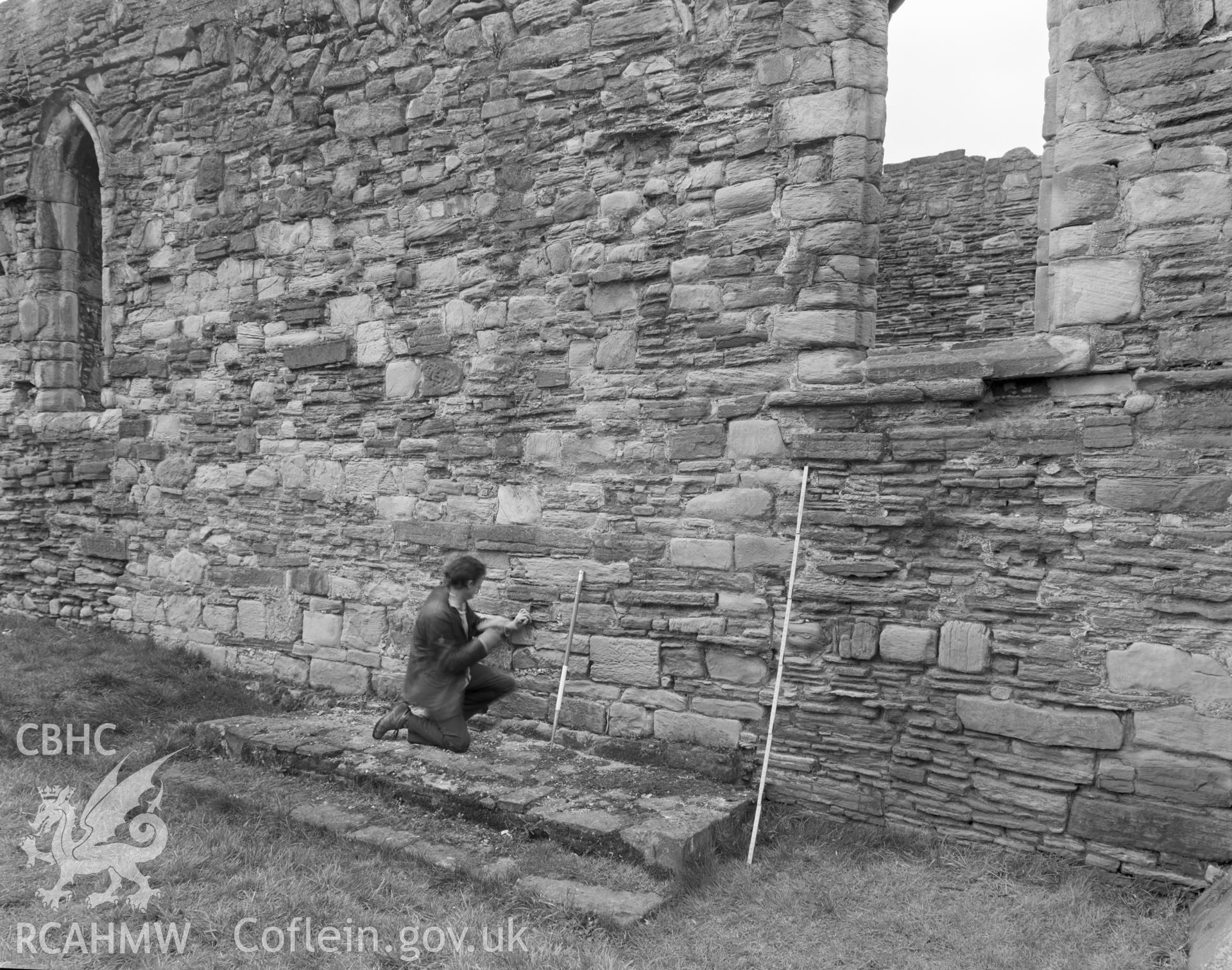 Digital copy of an acetate negative showing view of Basingwerk Abbey taken by Department of Environment.