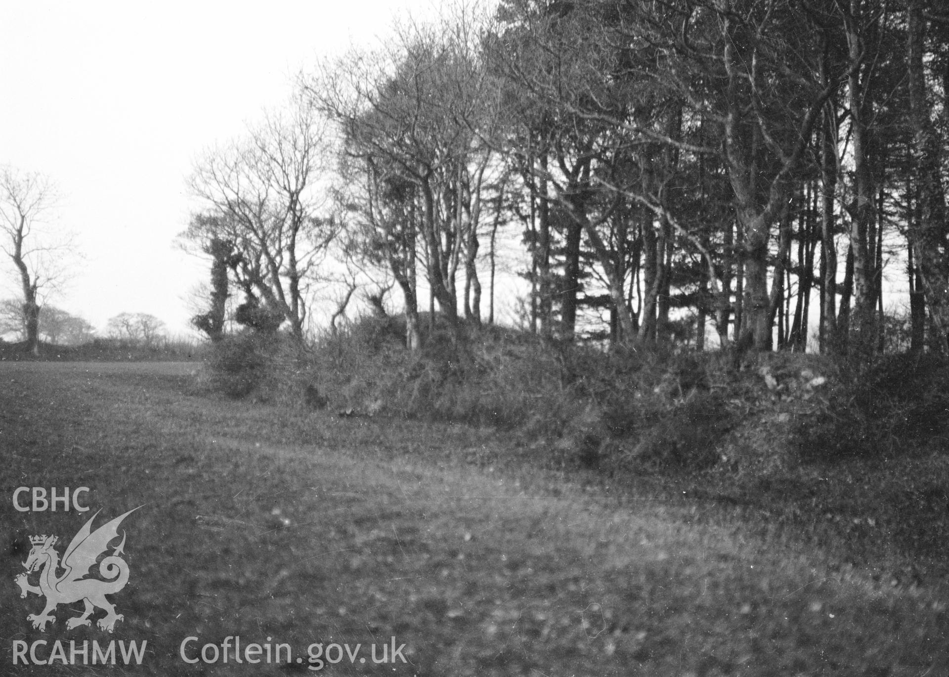 Digital copy of a nitrate negative showing Dinas y Prif Camp.