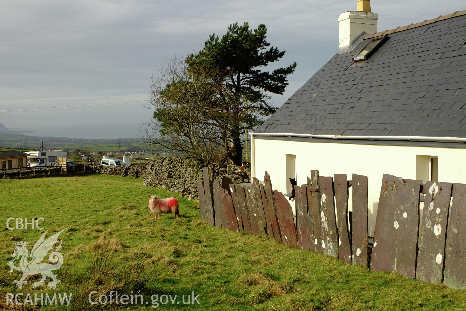 Colour photograph showing view looking south west at a slate fence to the rear of Mona View, Cilgwyn, produced by Richard Hayman 7th March 2017