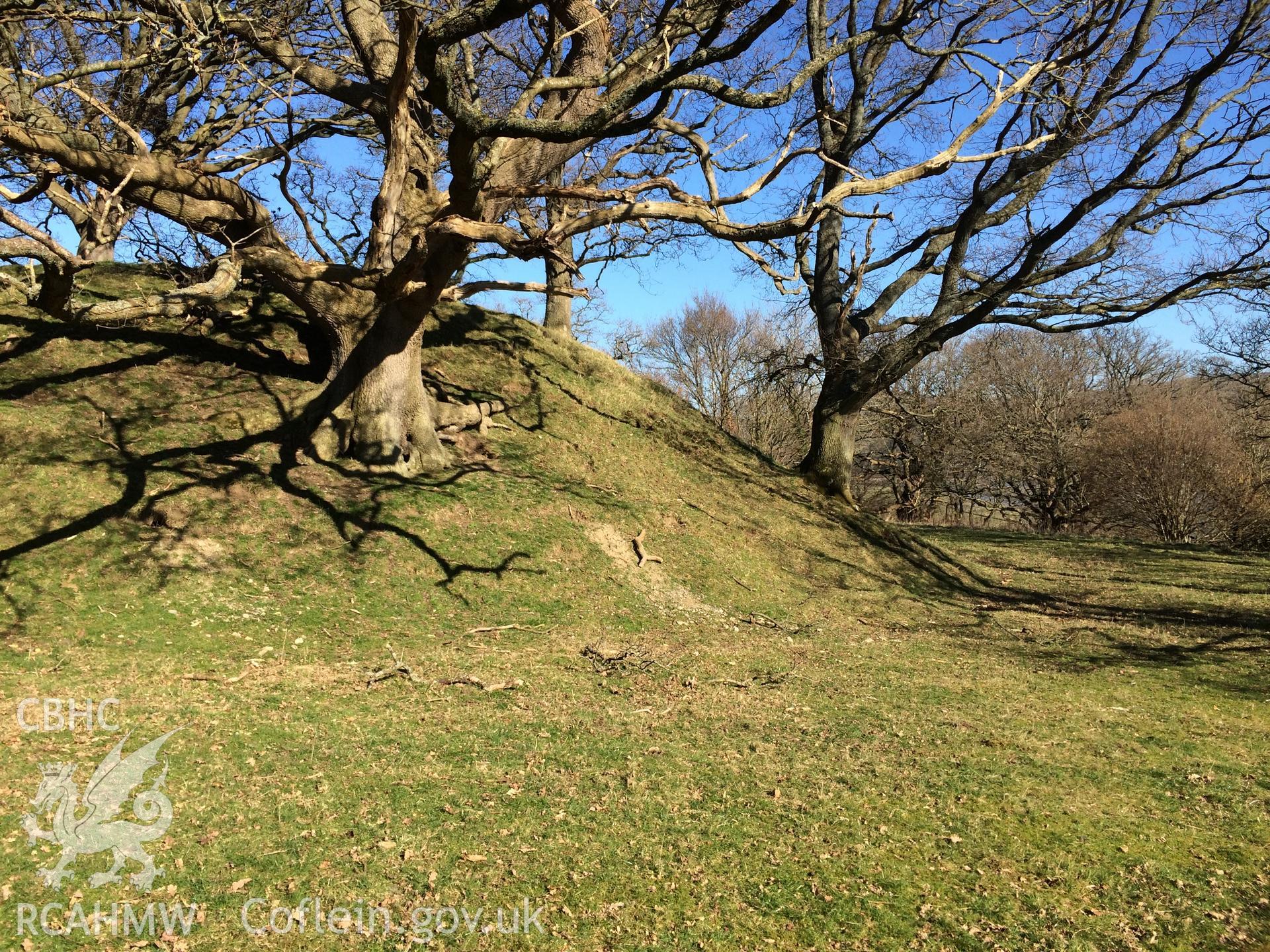 Colour photo showing view of Tal-y-cafn motte, taken by Paul R. Davis, 28th February 2018.