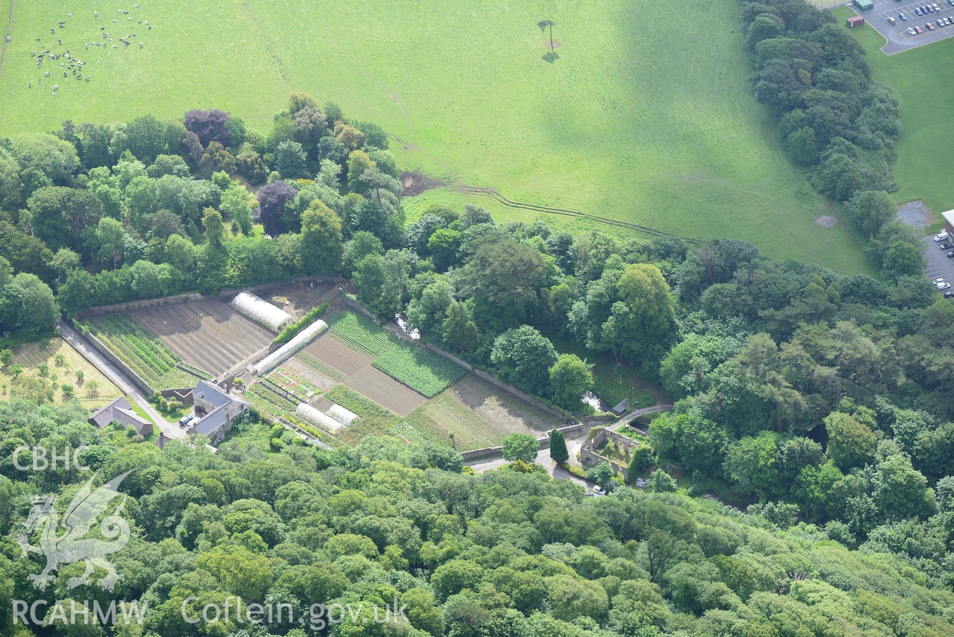 Stradey Castle Garden, Llanelli. Oblique aerial photograph taken during the Royal Commission's programme of archaeological aerial reconnaissance by Toby Driver on 19th June 2015.