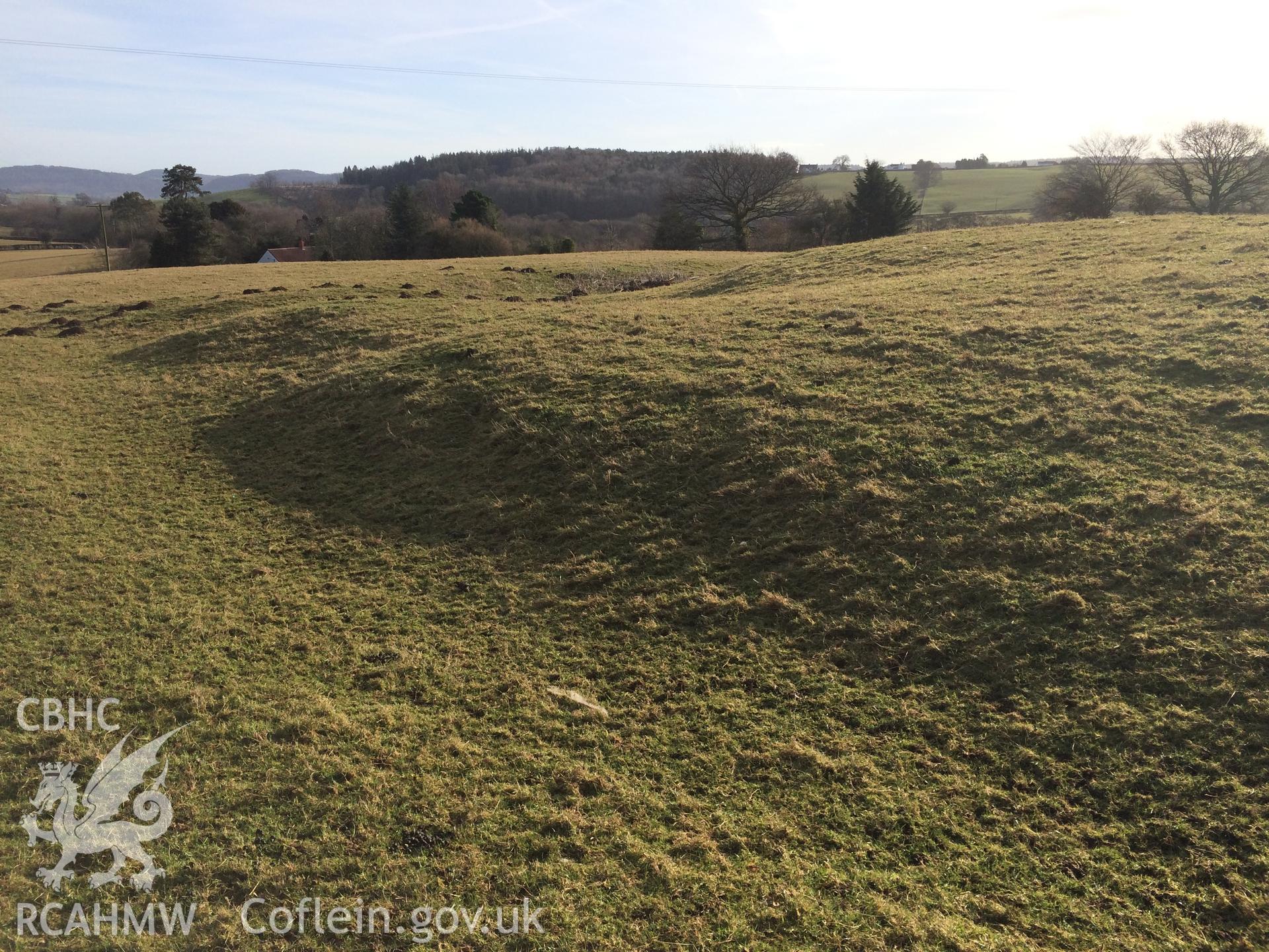 Colour photo showing view of Coed-y-Fedw, taken by Paul R. Davis, 6th March 2018.