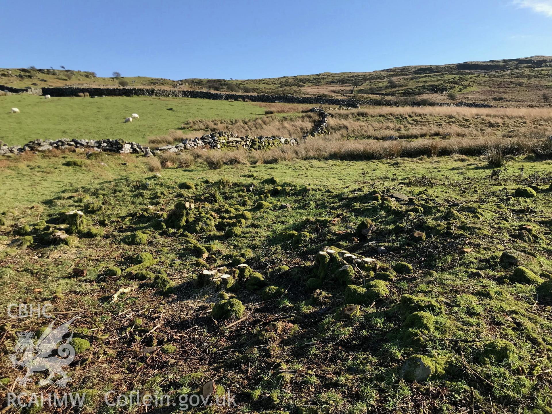 Digital colour photograph of Moel-y-Glo hut group, Talsarnau, taken by Paul R. Davis on 15th February 2019.