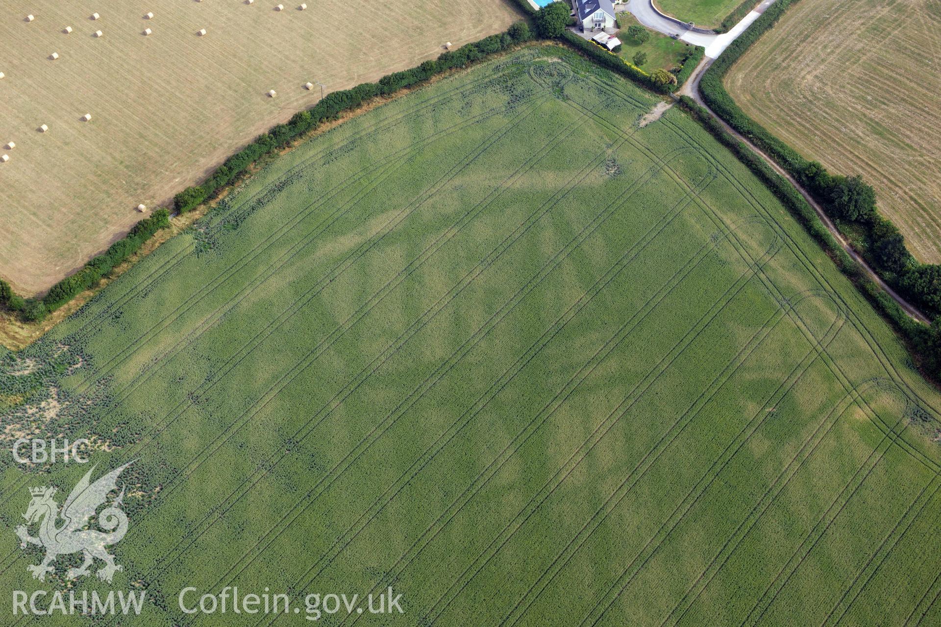 Royal Commission aerial photography of cropmarks at Moorlands Farm recorded during drought conditions on 22nd July 2013 at the time of their discovery.