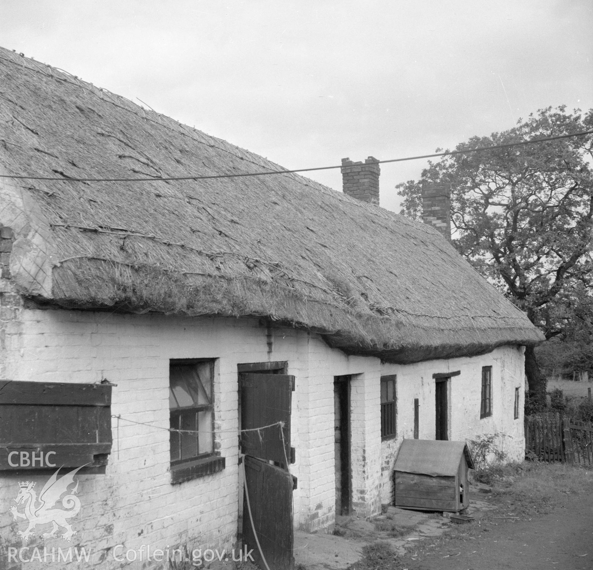 Digital copy of a nitrate negative showing an exterior front view of a cruck house at Northop, Flintshire.