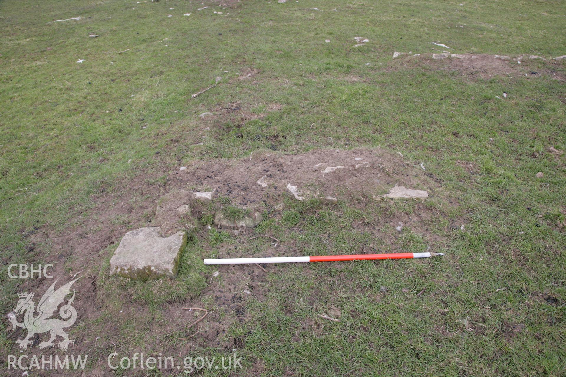 Caermead Roman villa. Investigator's photo survey. 1m scale.