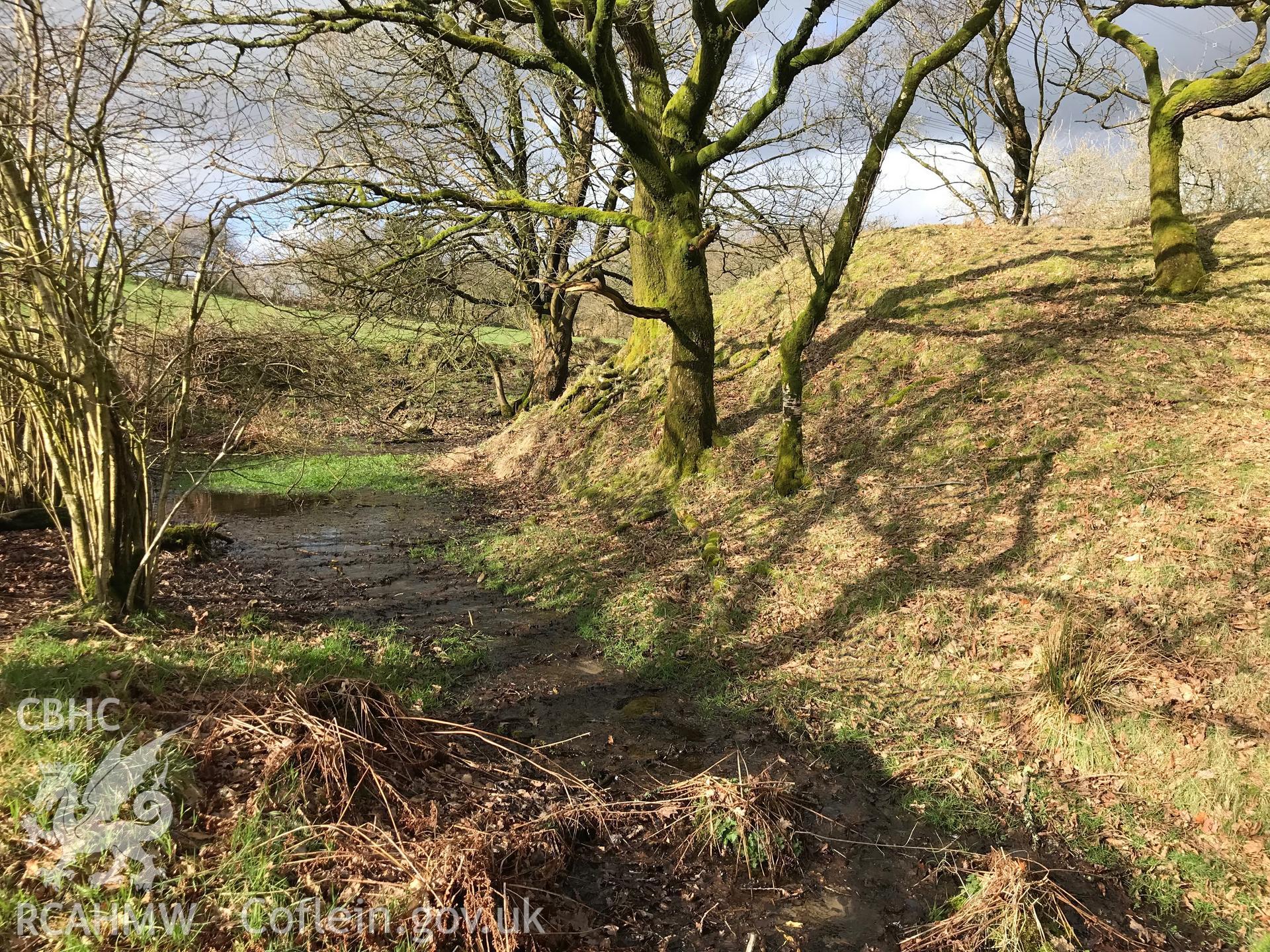 Colour photograph of Rhyndwclwydach medieval earthwork (Cae Castell), north west of Pontardawe, taken by Paul R. Davis on 12th March 2019.