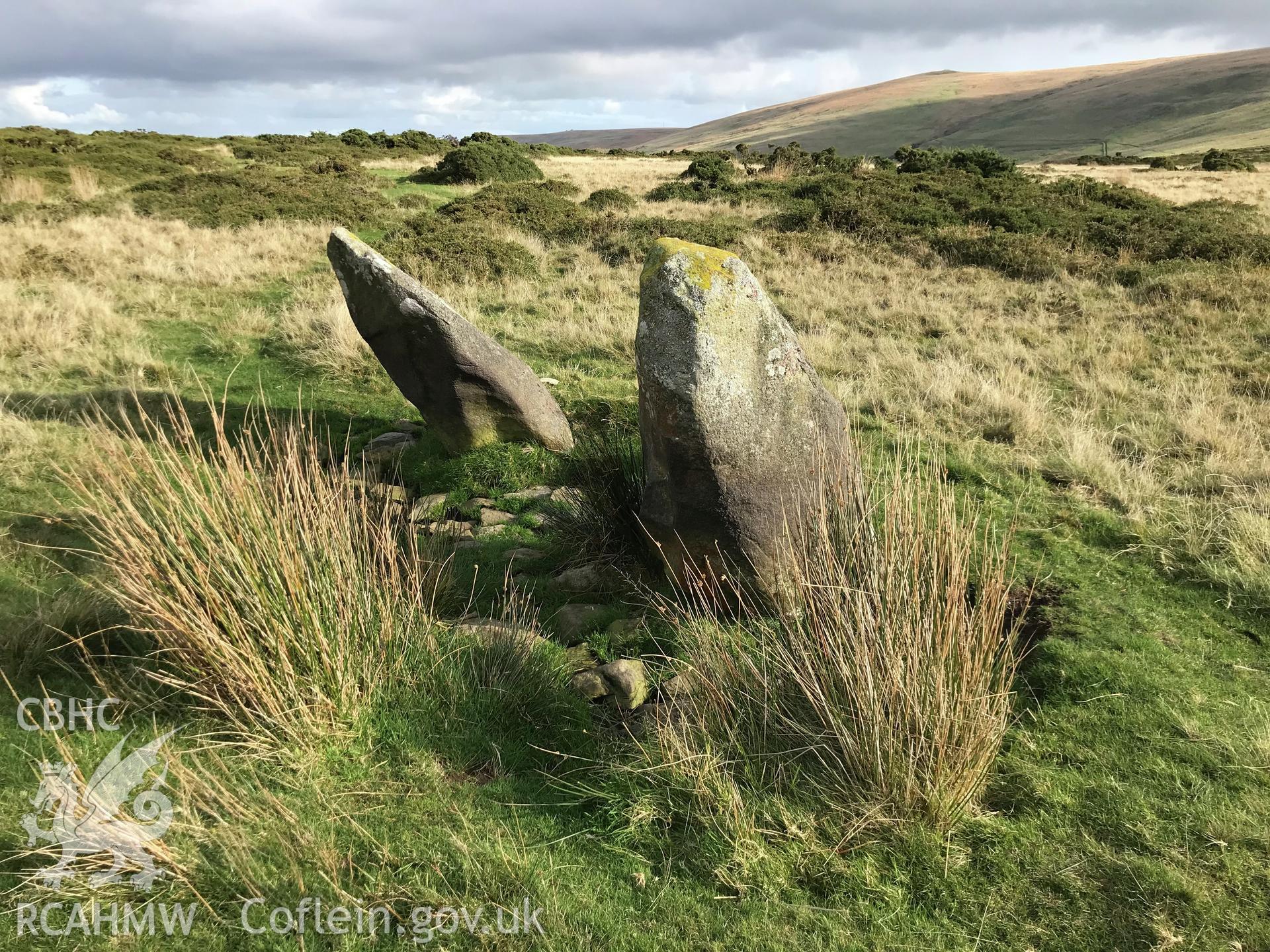 Digital colour photograph showing Talfarn-y-Bwlch stone pair, Eglwyswrw, taken by Paul Davis on 22nd October 2019.