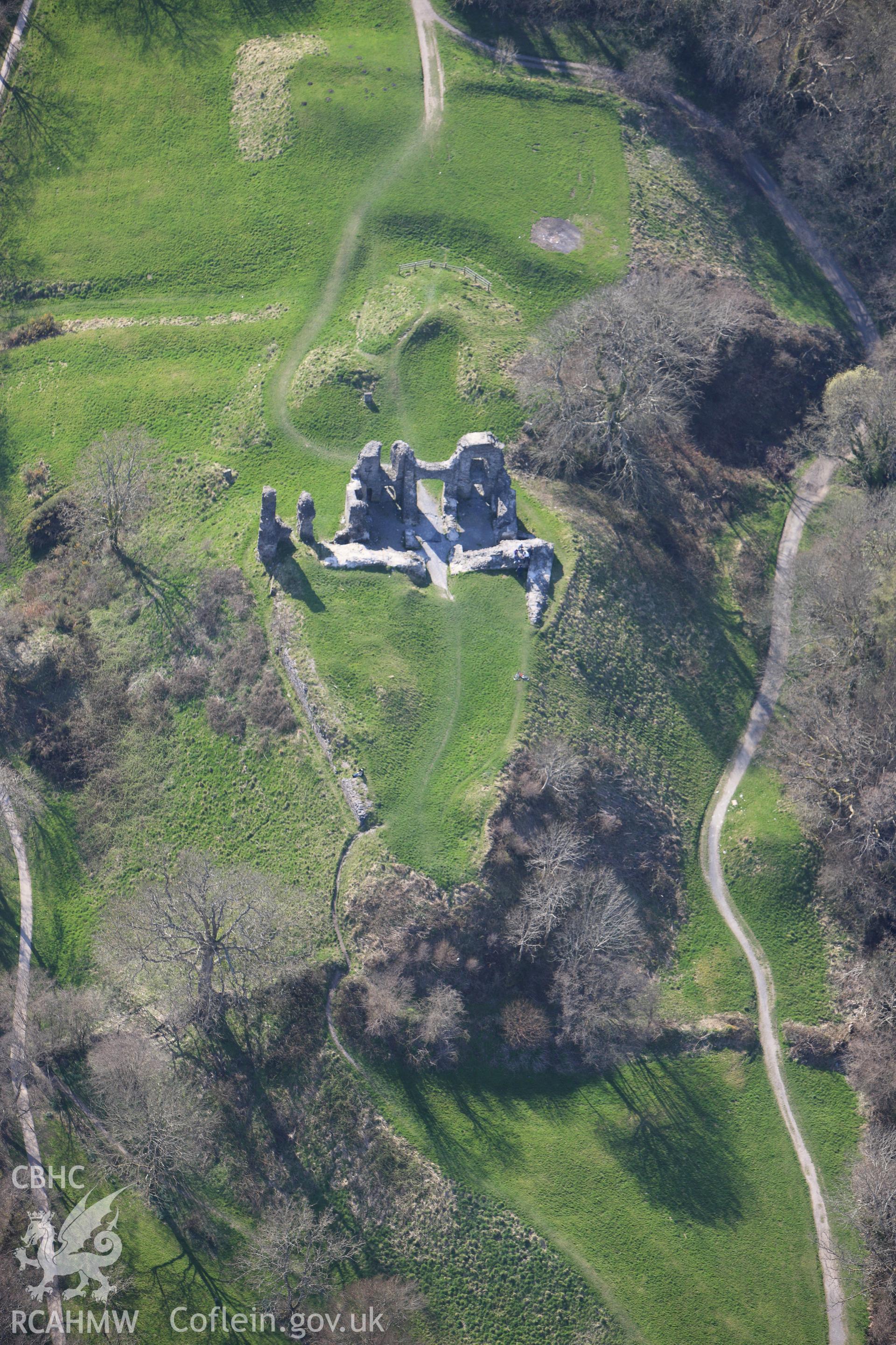 RCAHMW colour oblique aerial photograph of Newcastle Emlyn Castle. Taken on 13 April 2010 by Toby Driver