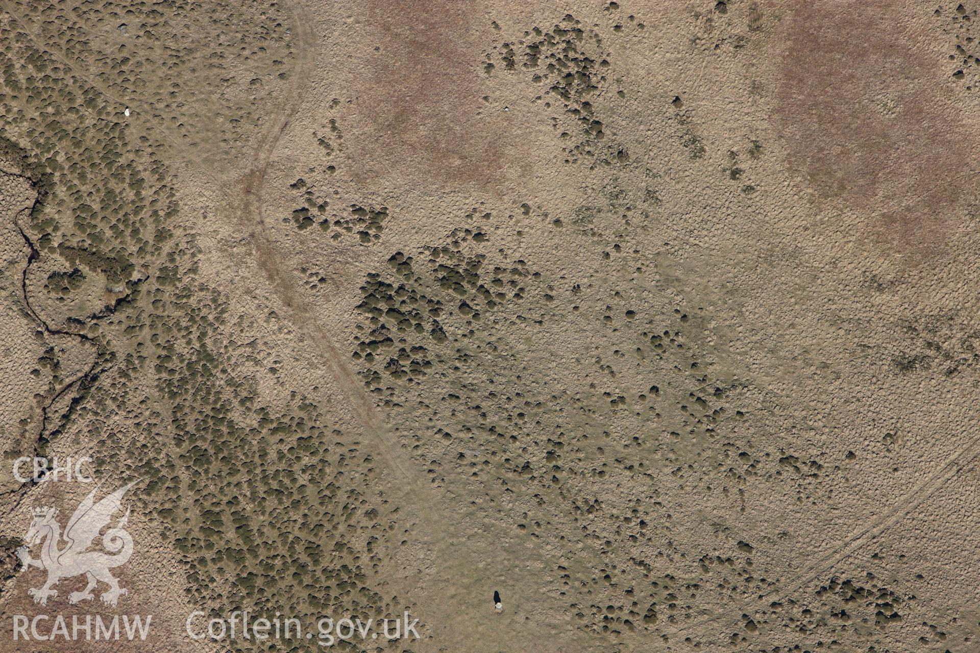 RCAHMW colour oblique photograph of Planwydd Helyg (Waen Bant) standing stone. Taken by Toby Driver on 08/03/2010.