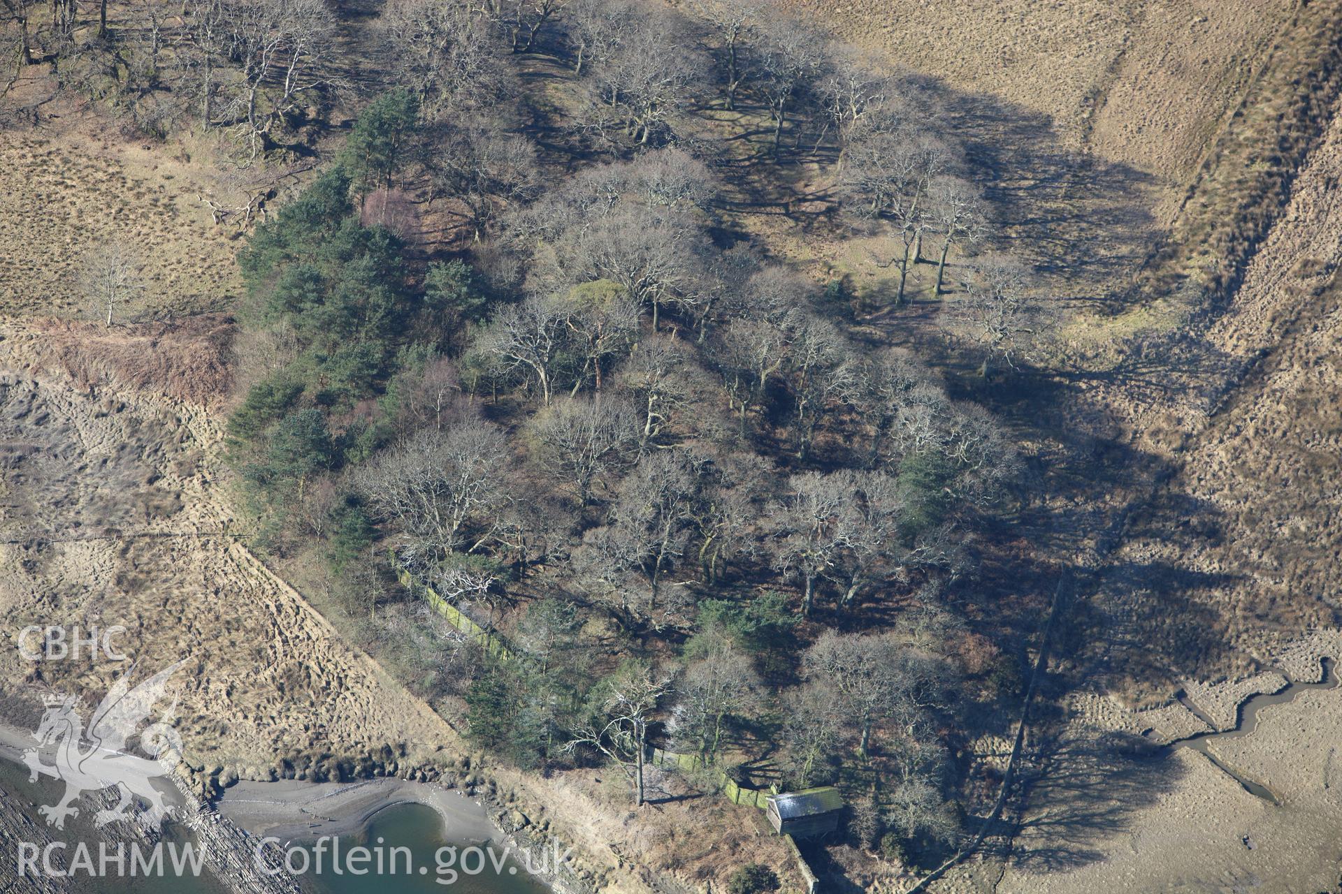 RCAHMW colour oblique photograph of Domen Las motte. Taken by Toby Driver on 08/03/2010.