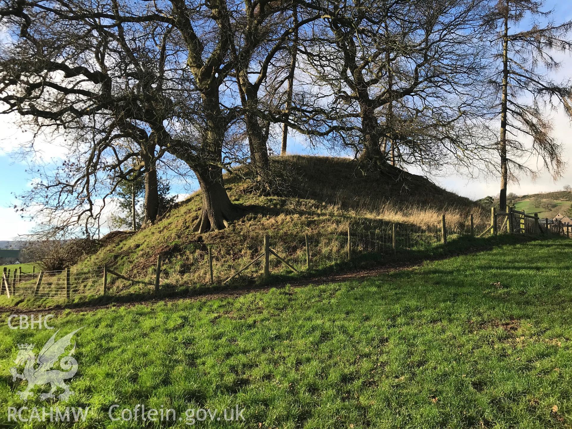 View of the Moat Mound and Bailey, Crucorney. Colour photograph taken by Paul R. Davis on 1st January 2019.