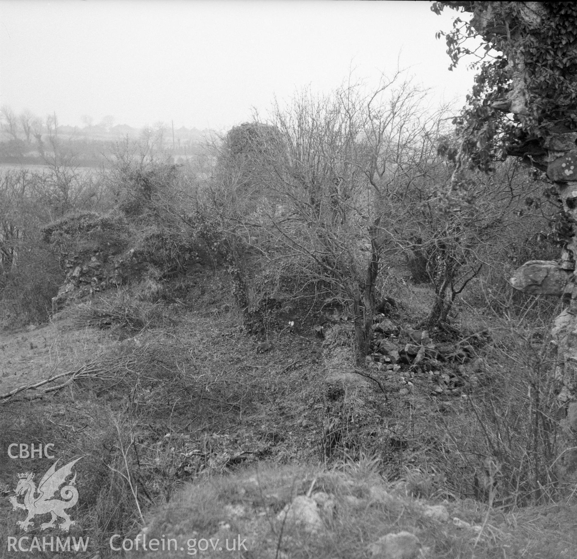 Digital copy of an acetate negative showing Haroldston, 5th December 1956.