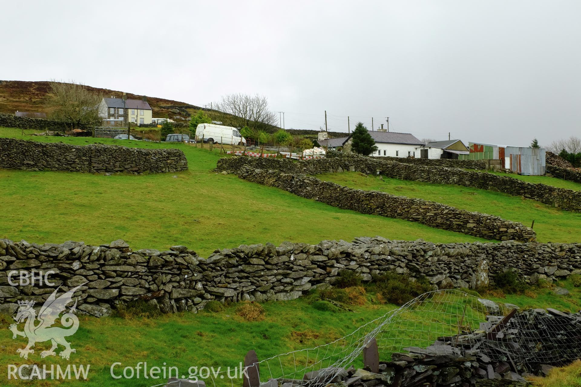 Colour photograph showing view looking north east at field walls and Bryn Tirion in Cilgwyn, produced by Richard Hayman 21st February 2017