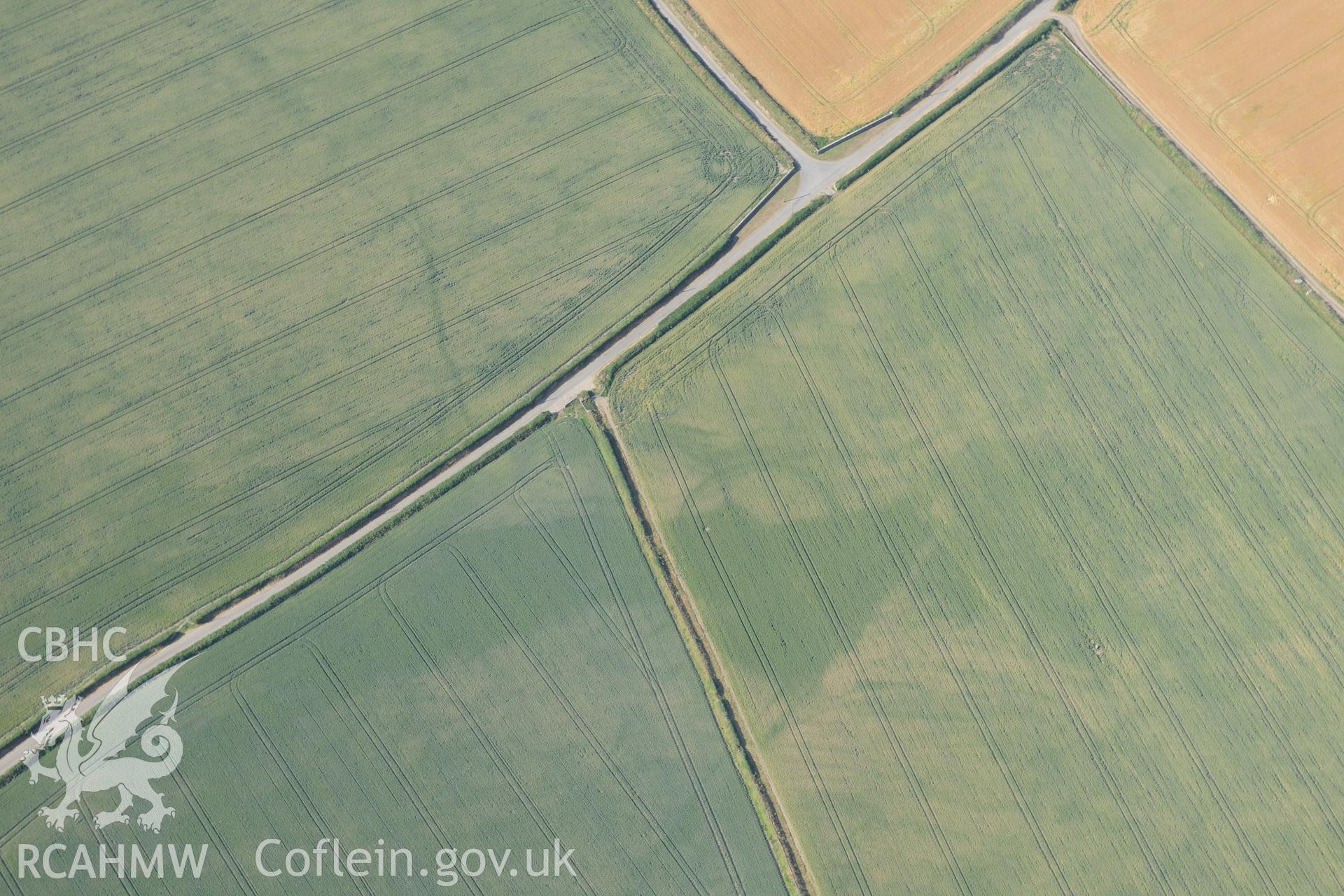 Cropmark of a longhouse ring ditch or circular enclosure, north east of Trefin, Pembrokeshire. Oblique aerial photograph taken during the Royal Commission?s programme of archaeological aerial reconnaissance by Toby Driver on 16th July 2013.