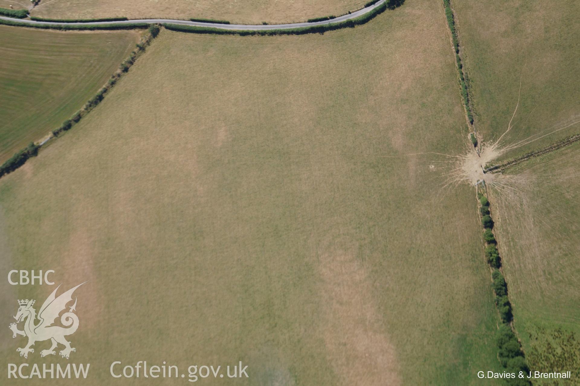 Aerial photograph showing a cropmark of three concentric rings north west of Llandre, near Borth, taken by Glyn Davies and Jonathan Brentnall on 22nd July 2018, under drought conditions.