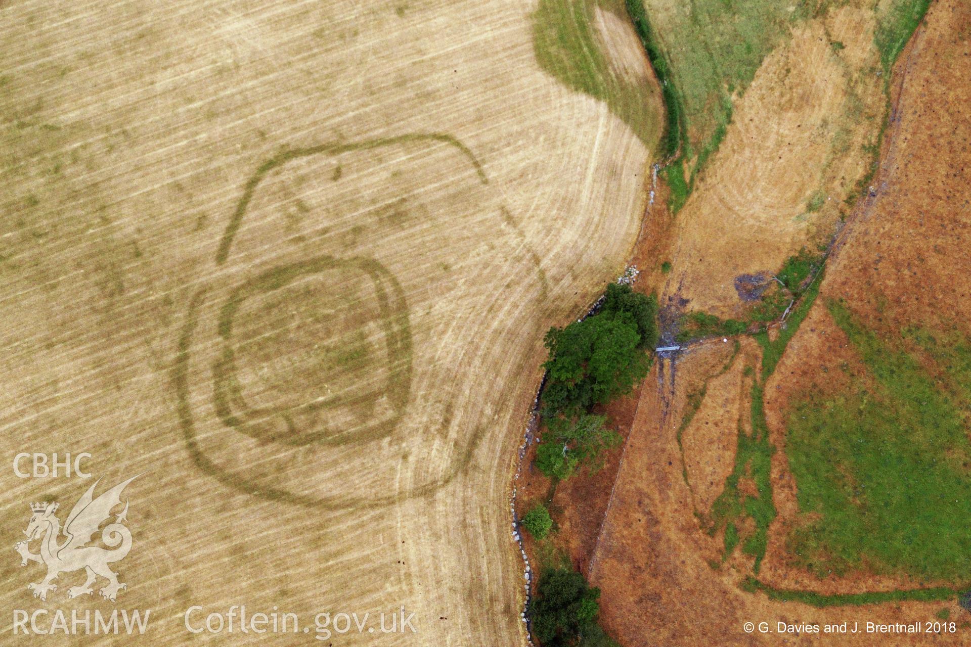 Modified aerial photograph showing crop marks of Ty'n-y-Bryn defended enclosure, Dyffryn Dysynni, north east of Tywyn. Photographed by Glyn Davies and Jonathan Brentnall under drought conditions on 16th July 2018. Original photograph: BDC_05_05.