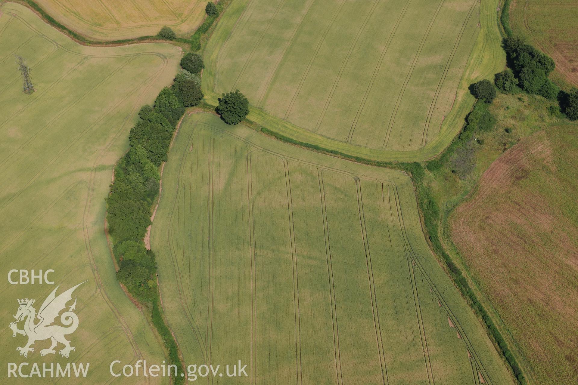 Cropmark showing the Malthouse Road defended enclosure, near Caerleon, north of Newport. Oblique aerial photograph taken during the Royal Commission?s programme of archaeological aerial reconnaissance by Toby Driver on 1st August 2013.