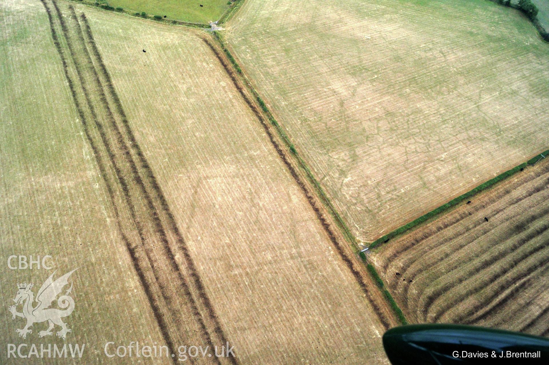 Aerial photograph of cropmarks south east of Ynysmaengwyn caravan park, taken by Glyn Davies & Jonathan Brentnall 16/07/2018 under drought conditions. Photograph has been modified to enhance visibility of the archaeology. Original photograph: BDC_04_02_03