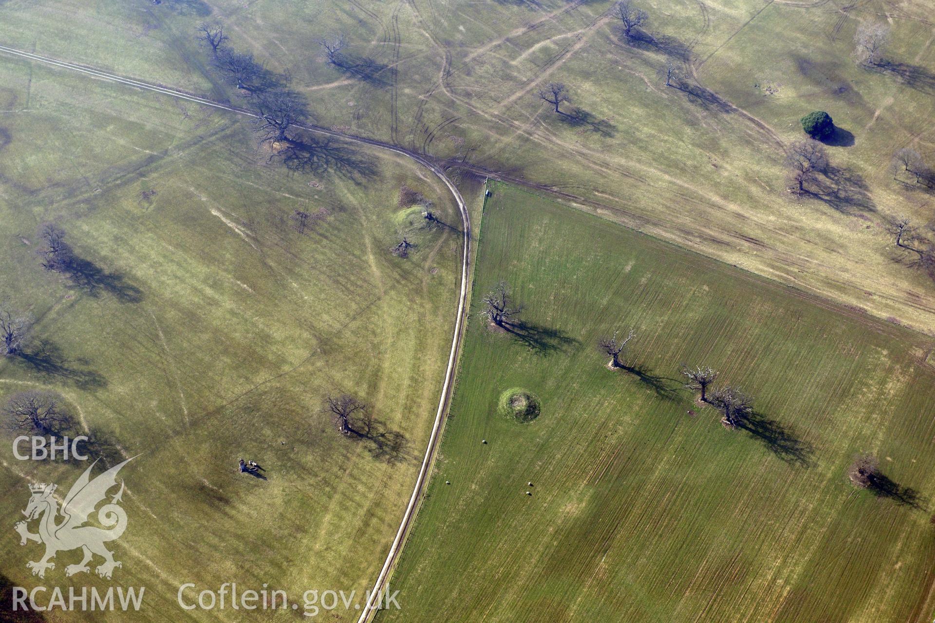 Defended enclosure, Bodelwyddan, north west of St Asaph. Oblique aerial photograph taken during the Royal Commission?s programme of archaeological aerial reconnaissance by Toby Driver on 28th February 2013.