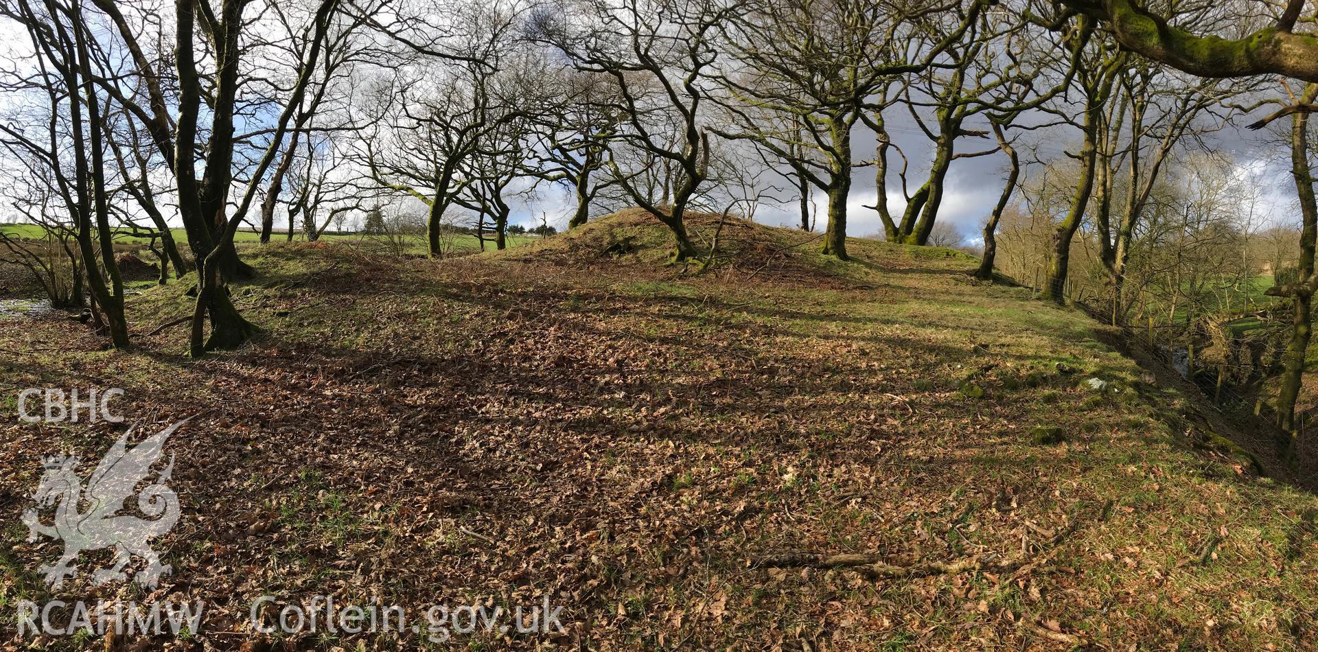 Colour photograph of Rhyndwclwydach medieval earthwork (Cae Castell), north west of Pontardawe, taken by Paul R. Davis on 12th March 2019.