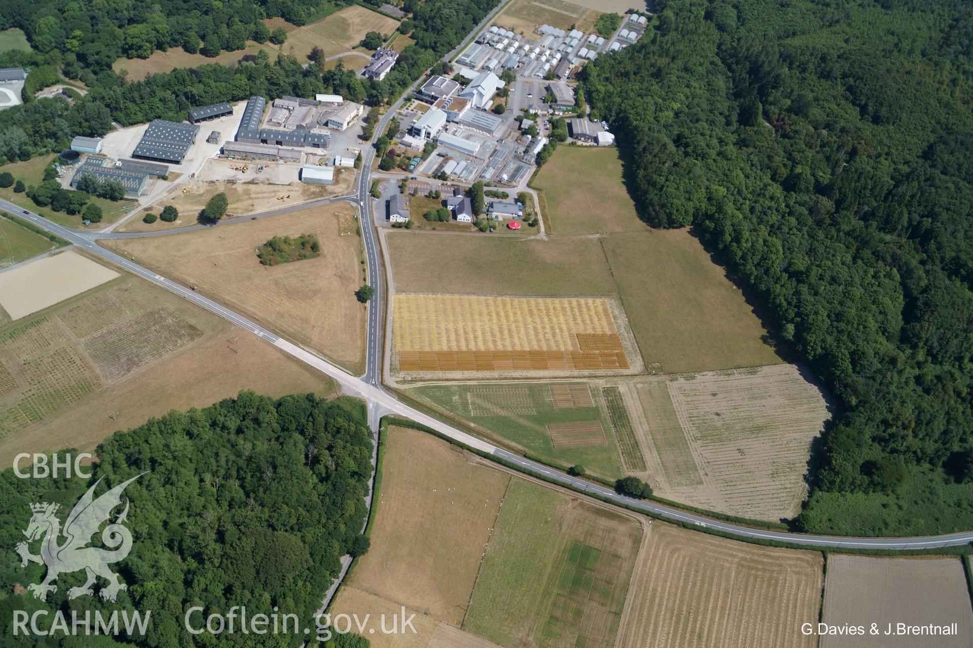 Aerial photograph of barrow at Plas Gogerddan, Bow Street, taken by Glyn Davies and Jonathan Brentnall on 22/07/2018 under drought conditions. This photograph is the original. For modified version with archaeological details highlighted, see: BDC_02_04_07.