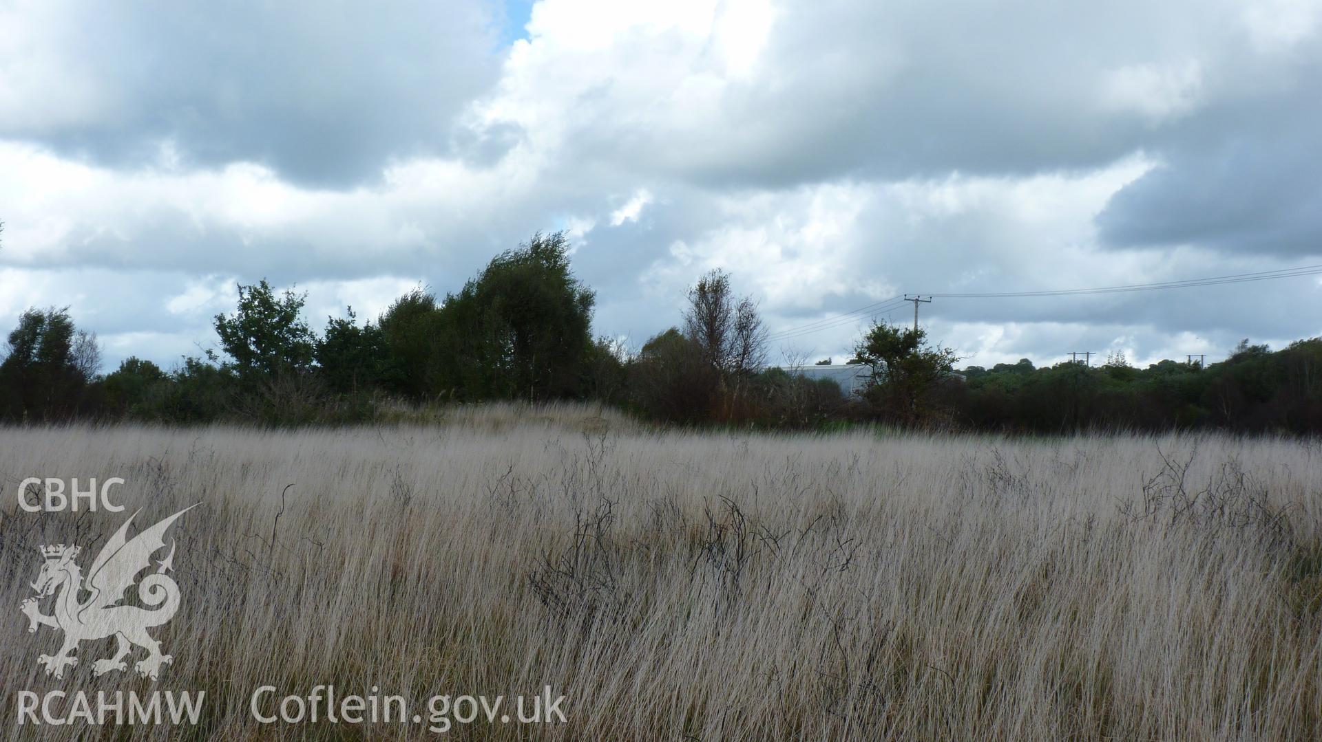 View northeast towards Carn Goch. Photographed during Setting Impact Assessment of Land off Phoenix Way, Garngoch Business Village, Swansea, carried out by Archaeology Wales, 2018. Project number P2631.