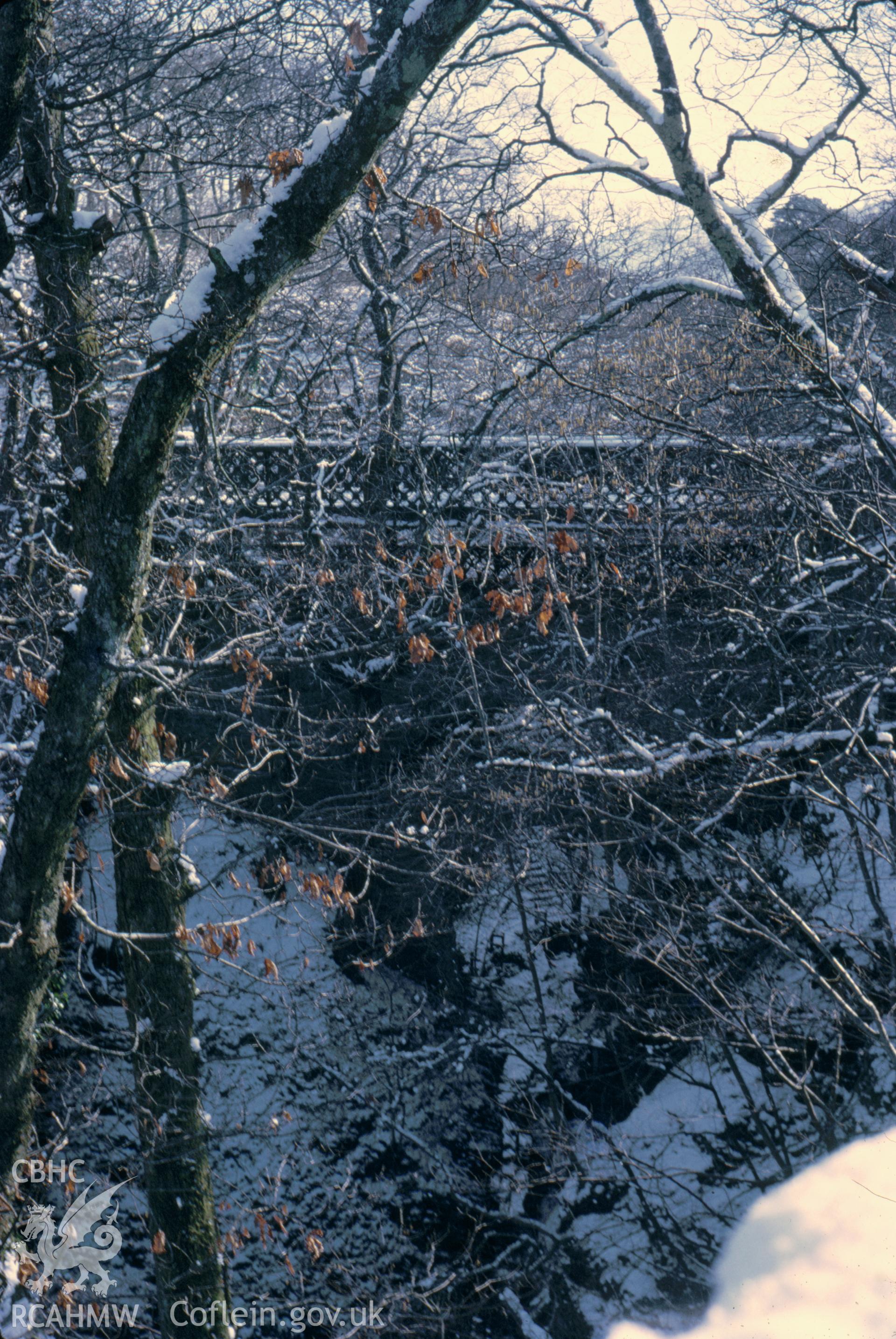 Digital copy of a colour slide showing view of Devil's Bridge obscured by trees, taken by Douglas Hague, January 1969.