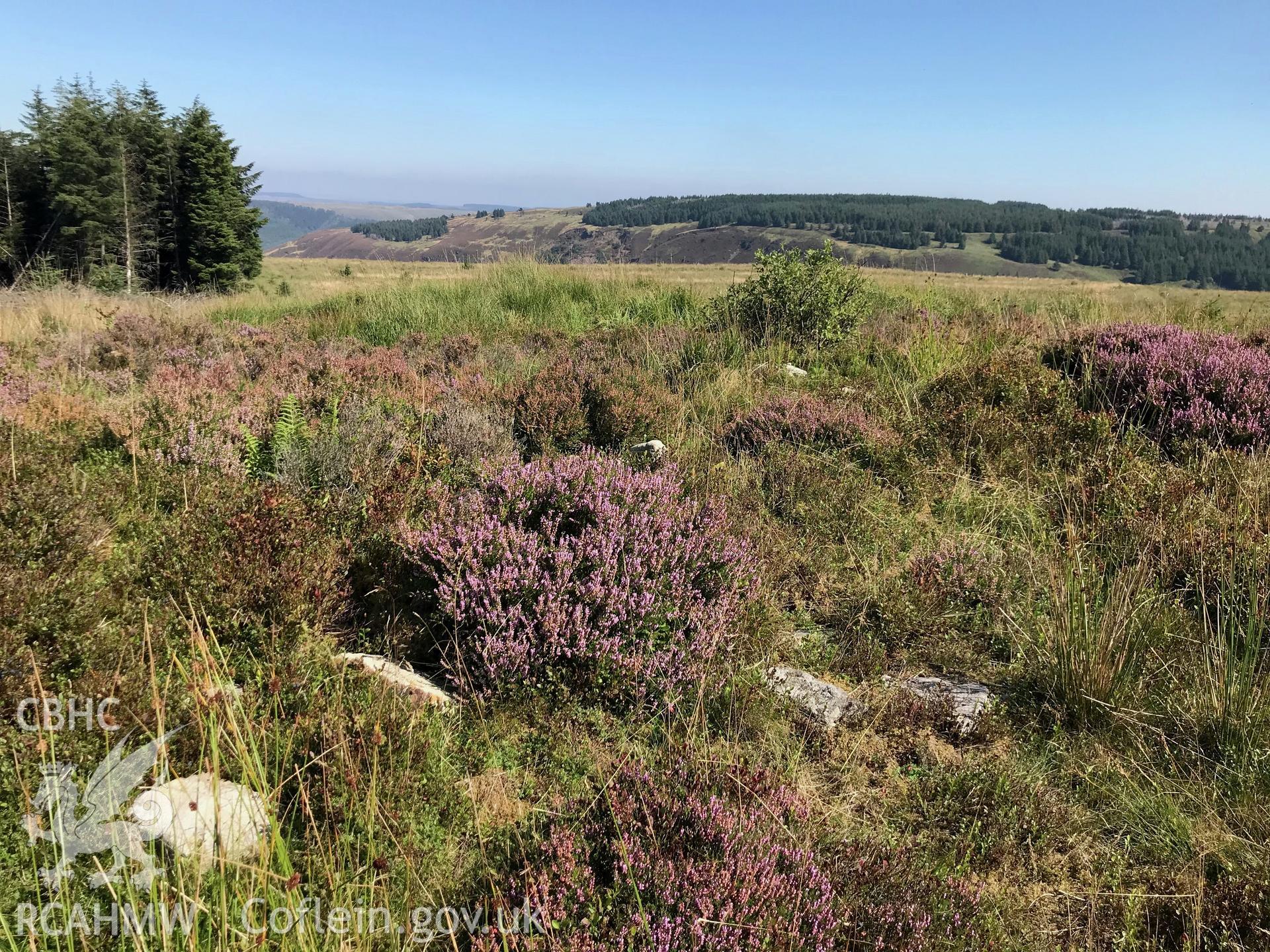 Digital colour photograph of Bachen Carreg Cairn, Glyncorrwg, taken by Paul R. Davis on 25th August 2019.