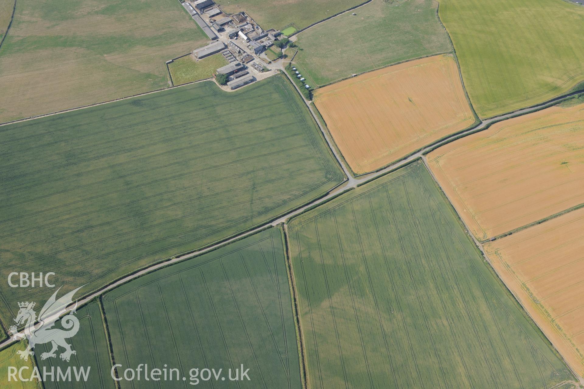 Cropmark of a longhouse ring ditch or circular enclosure, north east of Trefin, Pembrokeshire. Oblique aerial photograph taken during the Royal Commission?s programme of archaeological aerial reconnaissance by Toby Driver on 16th July 2013.