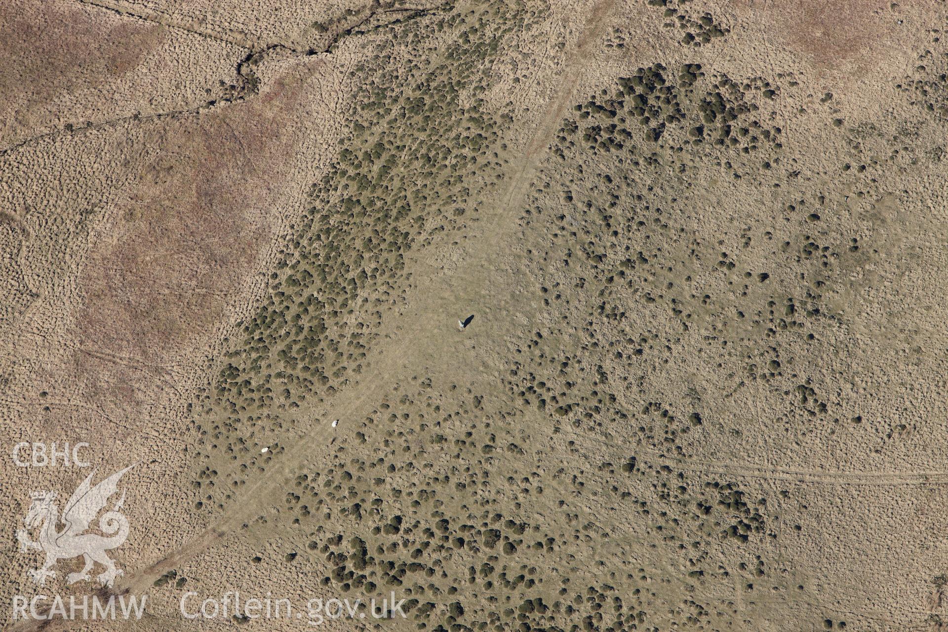 RCAHMW colour oblique photograph of Planwydd Helyg (Waen Bant) standing stone. Taken by Toby Driver on 08/03/2010.