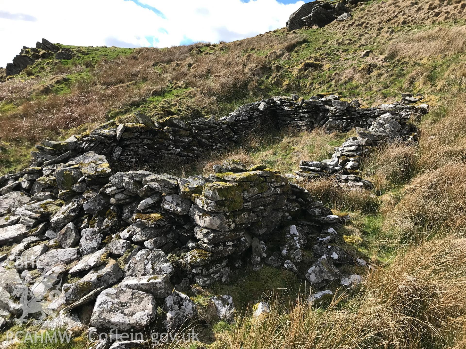 Colour photograph of Hafod Frith Hafod and Sheepfold, east of Pontrhydfendigaid, taken by Paul R. Davis on 24th March 2019.