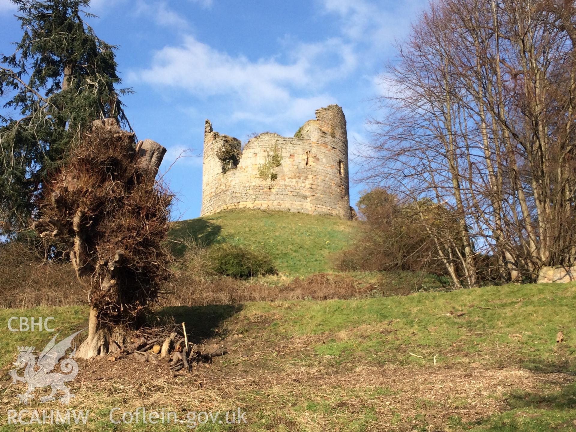 Photo showing view of Hawarden Castle, taken by Paul R. Davis, February 2018.