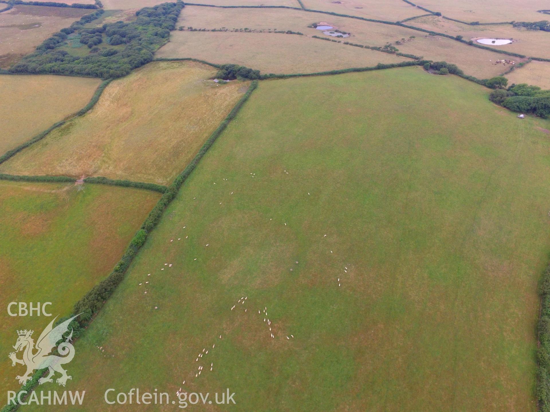 Site of cropmark at Newton Henge on the Gower Peninsula. Colour photograph taken by Paul R. Davis on 21st July 2018.