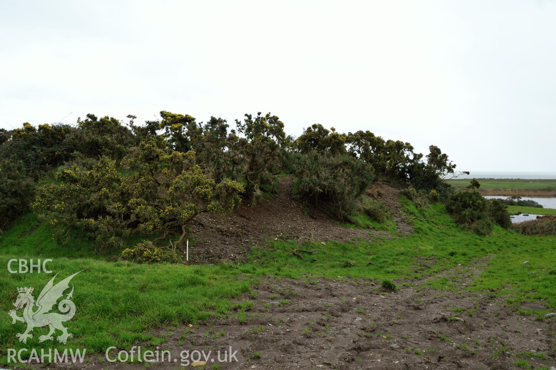 View of north side of Tomen Fawr, Llanystumdwy. Photographed by Gwynedd Archaeological Trust during impact assessment of the site on 20th December 2018. Project no. G2564.