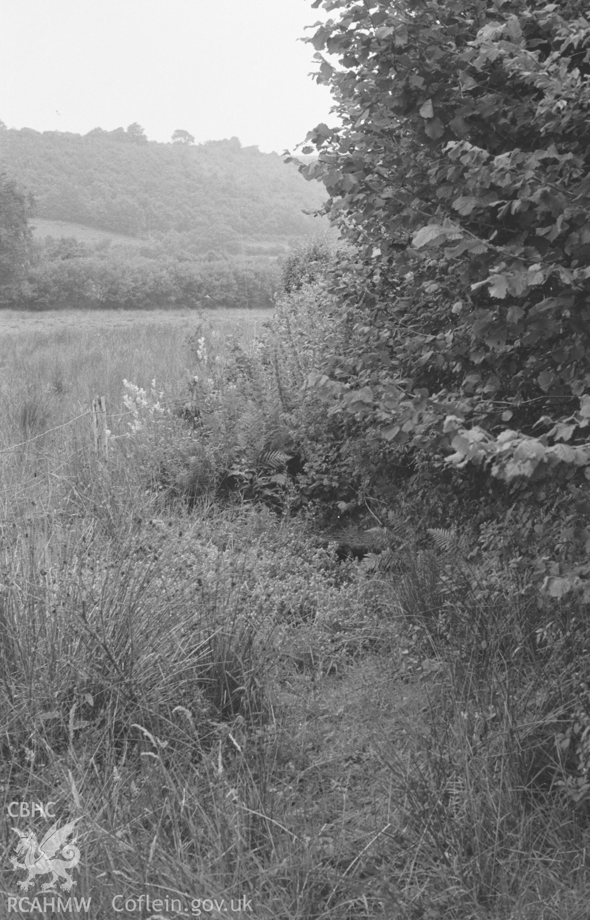 Digital copy of a black and white negative showing overgrown well of Ffynnon Gybi, opposite Capel Maes-y-Ffynnon, Llangybi (Ceredigion). Photographed by Arthur O. Chater in August 1965 from Grid Reference SN 6054 5282, looking north west.