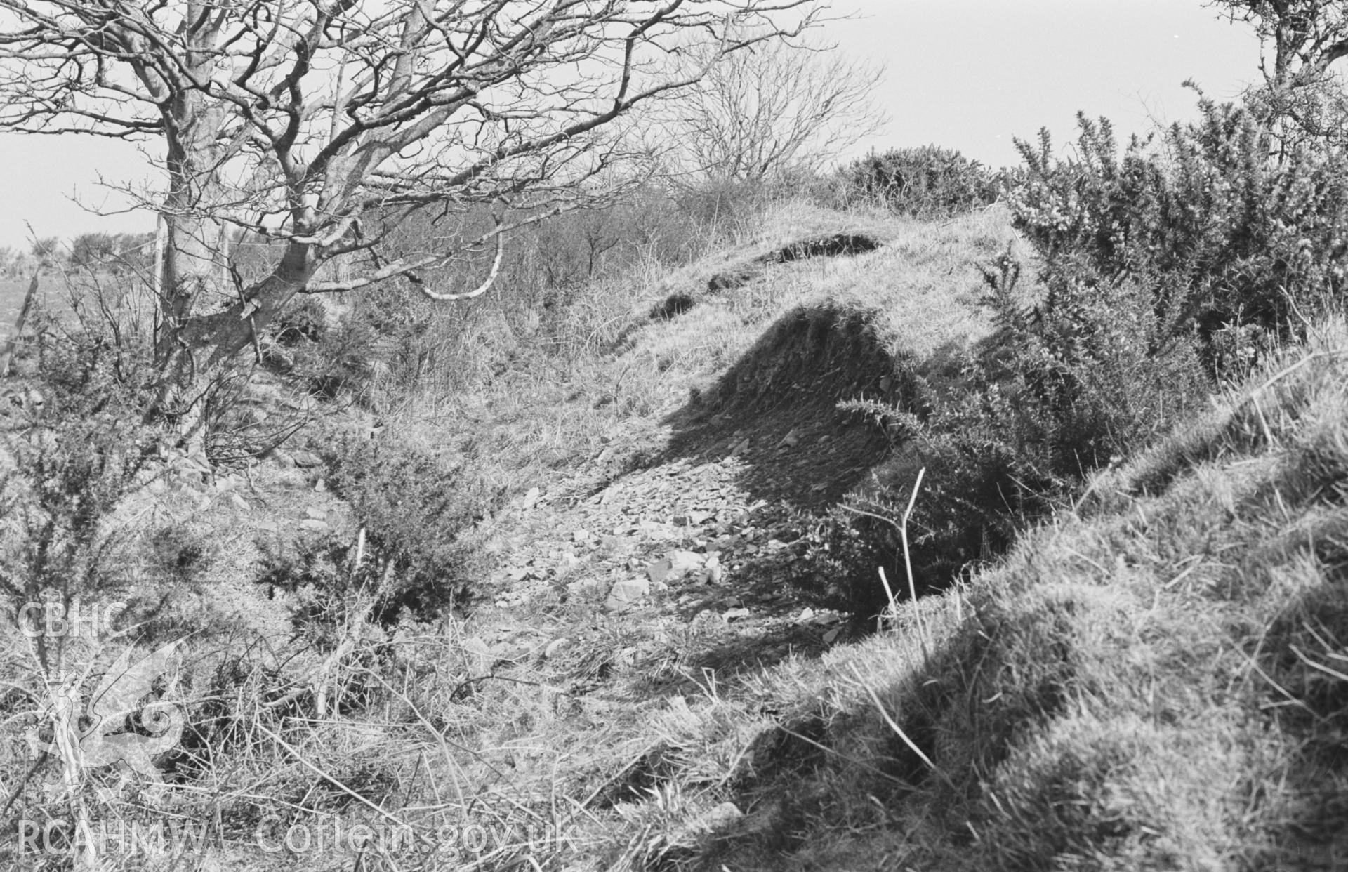 Digital copy of a black and white negative showing The Castell; looking east along the ditch on the outside of the north rampart. Photographed by Arthur O. Chater in April 1968. (Looking east from Grid Reference SN 355 555)