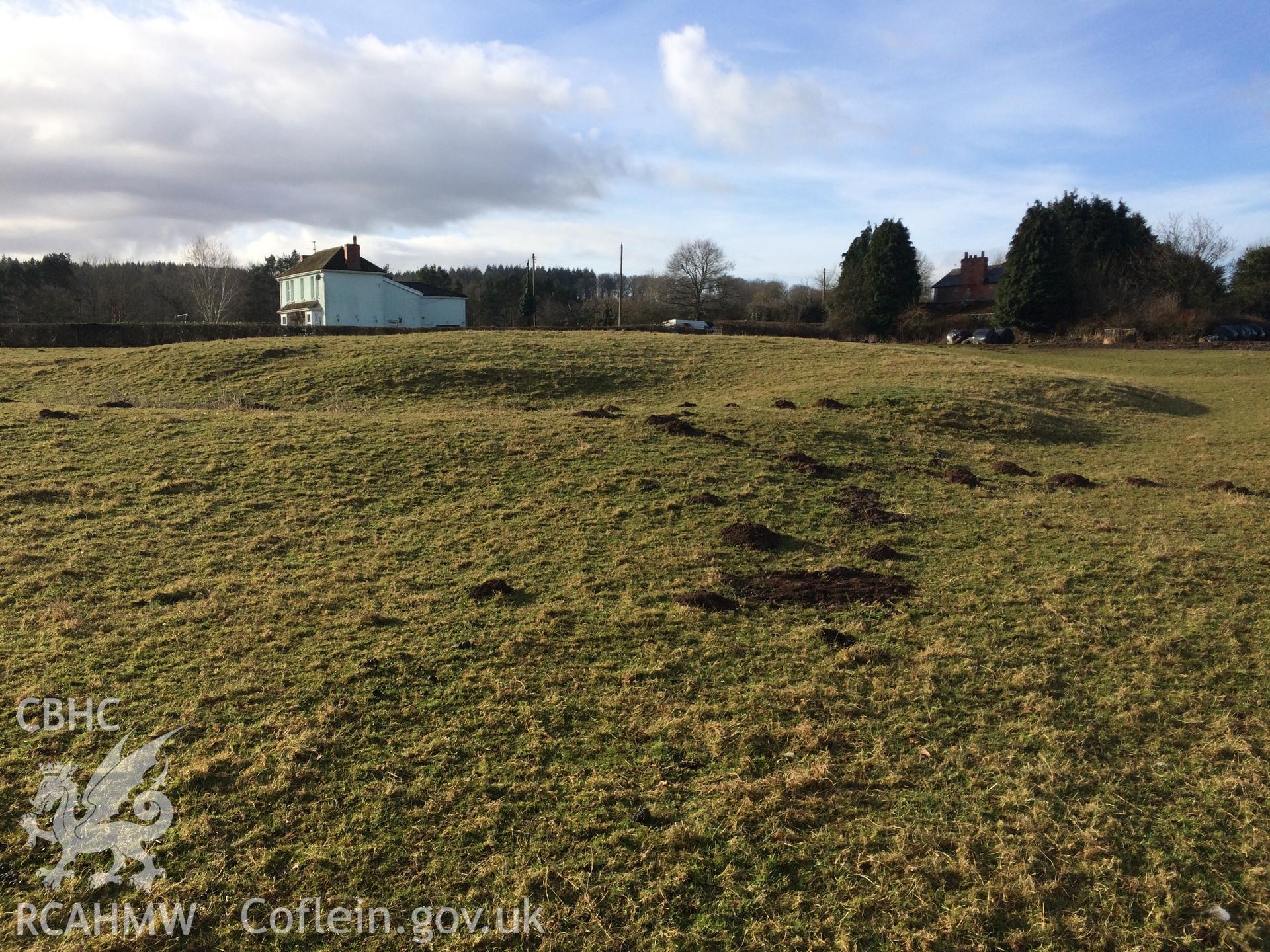 Colour photo showing view of Coed-y-Fedw, taken by Paul R. Davis, 6th March 2018.