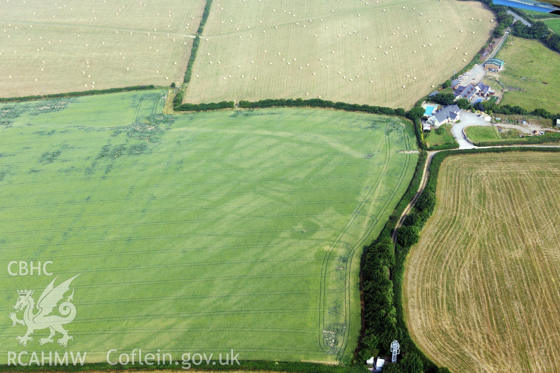 Royal Commission aerial photography of cropmarks at Moorlands Farm recorded during drought conditions on 22nd July 2013 at the time of their discovery.