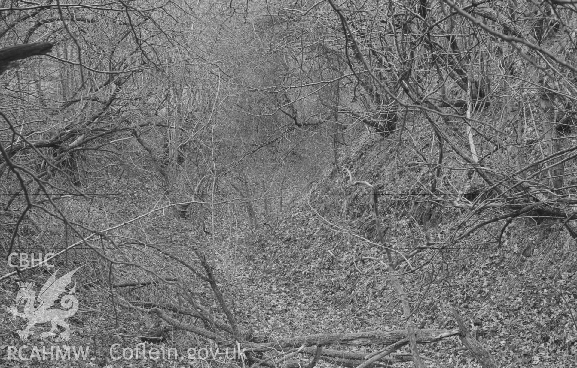 Digital copy of a black and white negative showing view of Castell Gwynionydd, Llandysul, looking east along the ditch from the entrance. Photographed in April 1963 by Arthur O. Chater from Grid Reference SN 4237 4206, looking east.