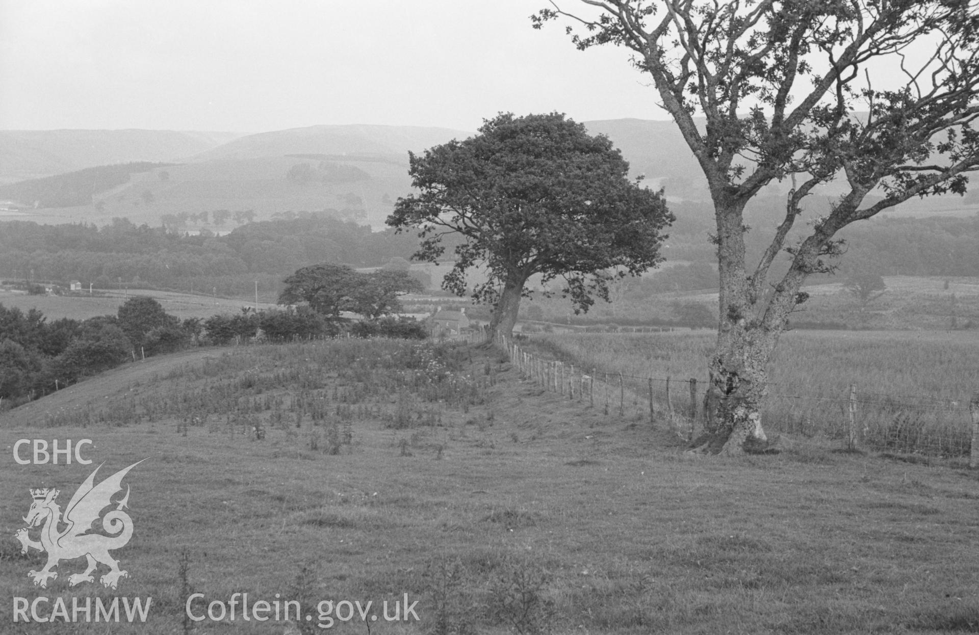 Digital copy of black & white negative showing the line followed by Sarn Helen Roman road (along fence, between two trees on right) leading to Trawscoed Roman Fort. Photographed in September 1963 by Arthur O. Chater from SN 6628 7210, looking north east.