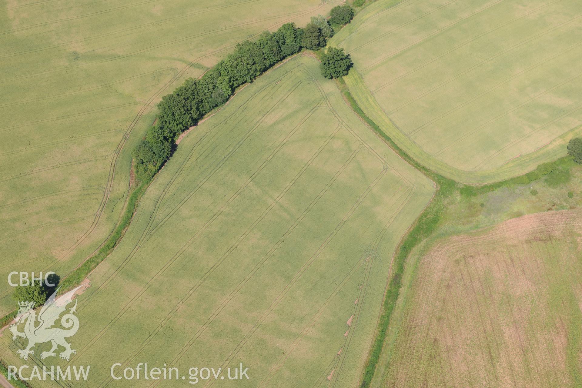 Cropmark showing the Malthouse Road defended enclosure, near Caerleon, north of Newport. Oblique aerial photograph taken during the Royal Commission?s programme of archaeological aerial reconnaissance by Toby Driver on 1st August 2013.