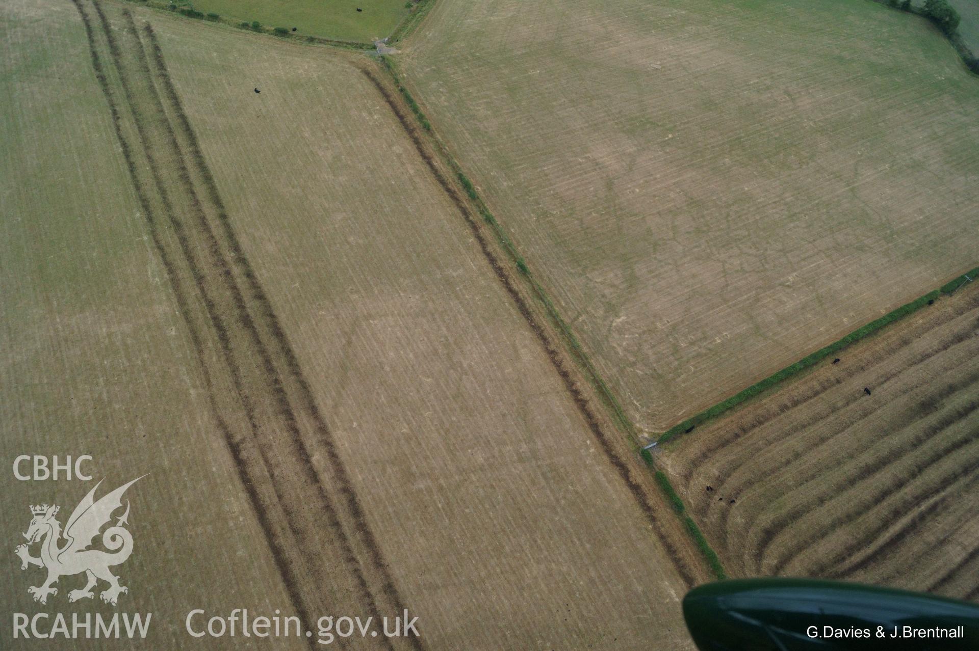 Aerial photograph of cropmarks south east of Ynysmaengwyn caravan park, taken by Glyn Davies & Jonathan Brentnall 16/07/2018 under drought conditions. Photograph is original. For modified version enhancing visibility of archaeology, see: BDC_04_02_01 & 2.