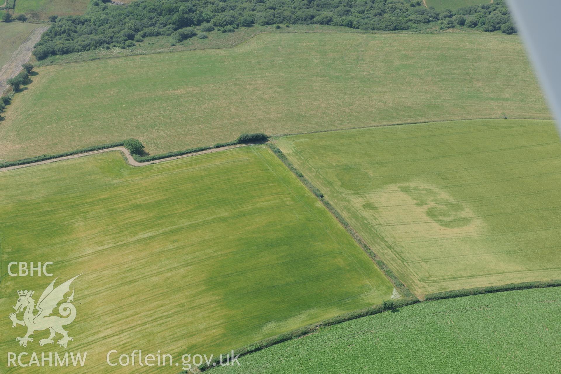 Roman Road of Carmarthen - possible features at Cotland. Oblique aerial photograph taken during the Royal Commission?s programme of archaeological aerial reconnaissance by Toby Driver on 16th July 2013.