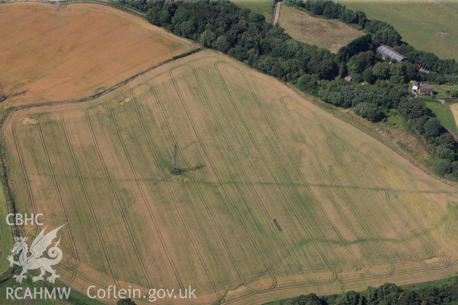 Malthouse Road defended enclosure and Graig-yr-Eurych castle mound (covered by woodland), between Caerleon and Cwmbran. Oblique aerial photograph taken during the Royal Commission?s programme of archaeological aerial reconnaissance by Toby Driver on 1st August 2013.