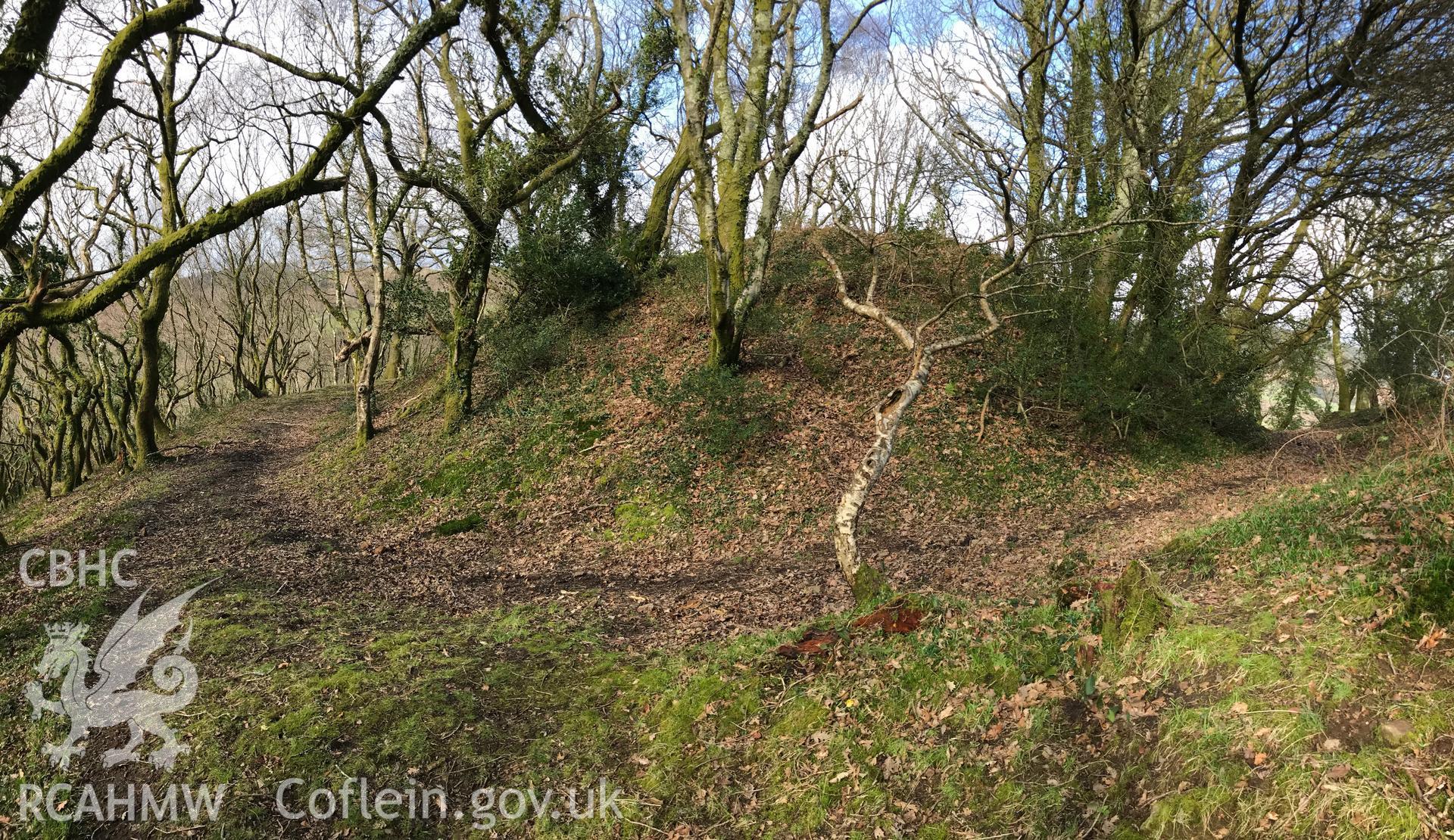 Colour photograph of Cwm Clais motte, west of Cwmafan, Port Talbot, taken by Paul R. Davis on 10th March 2019.