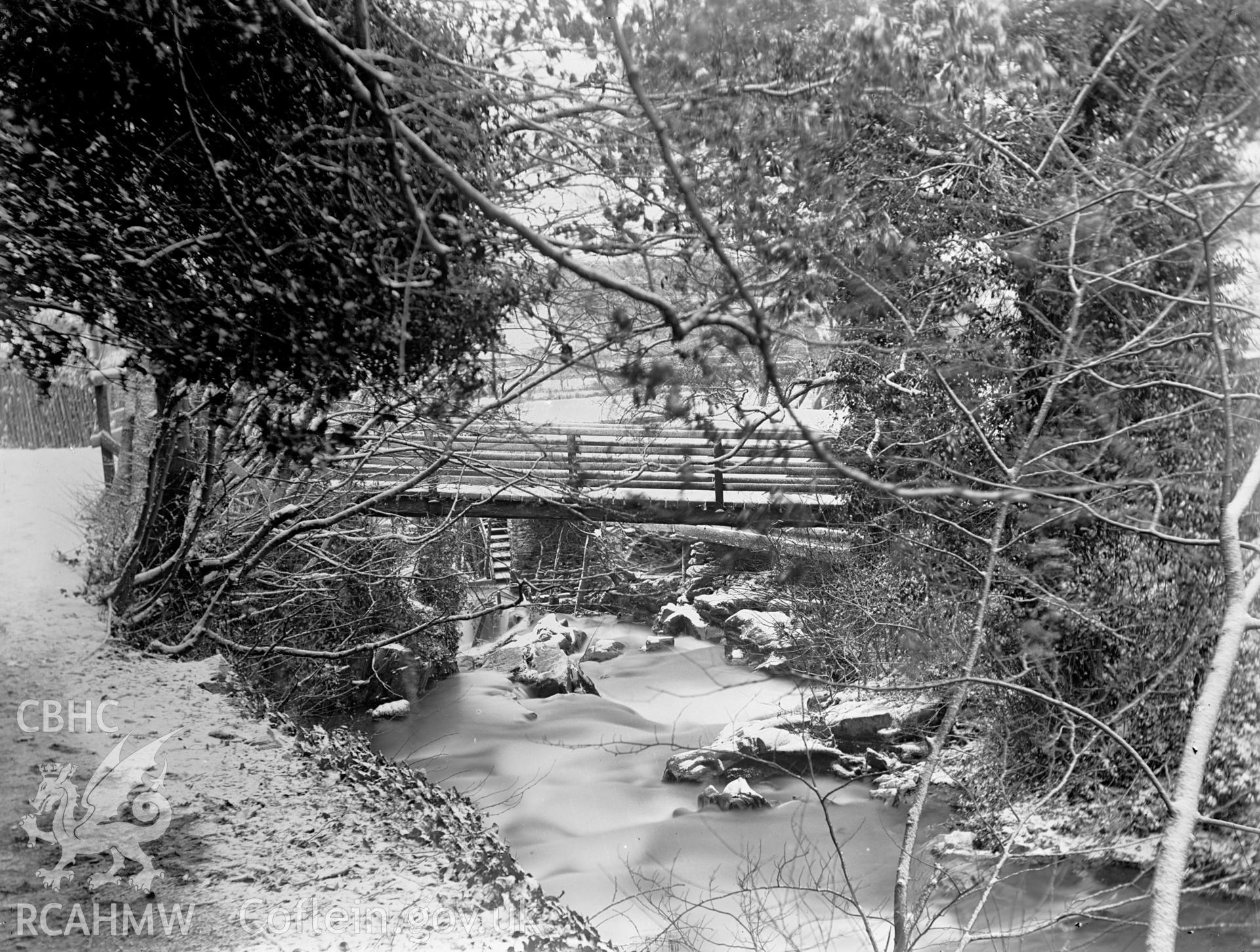 Digital copy of a glass plate showing view of the Fairy Glen at Trefriw, taken by Manchester-based amateur photographer A. Rothwell, 1890-1910