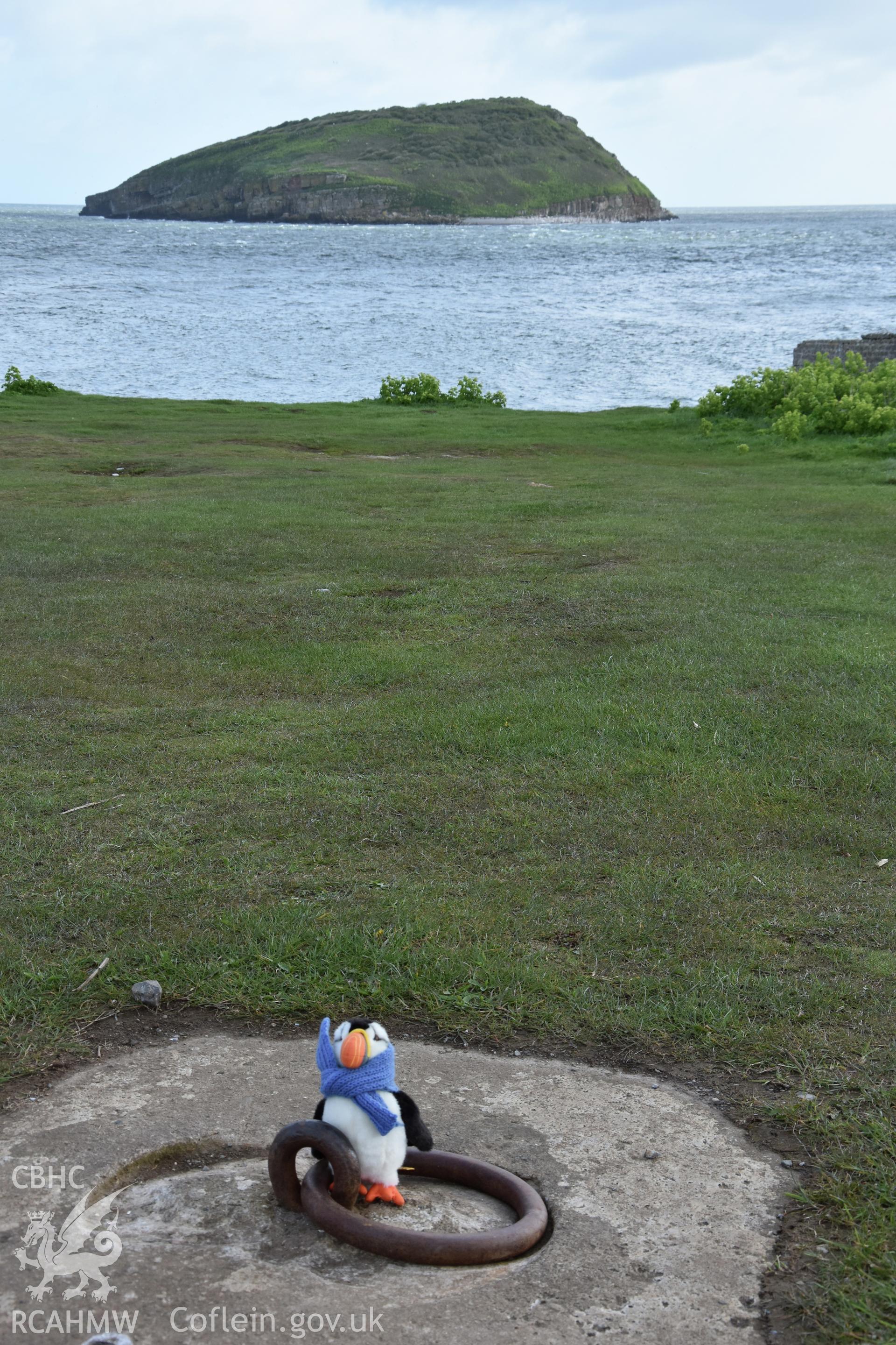 Investigator?s photographic survey of Puffin Island from Trywn Du for the CHERISH Project. ? Crown: CHERISH PROJECT 2019. Produced with EU funds through the Ireland Wales Co-operation Programme 2014-2020. All material made freely available through the Open Government Licence.