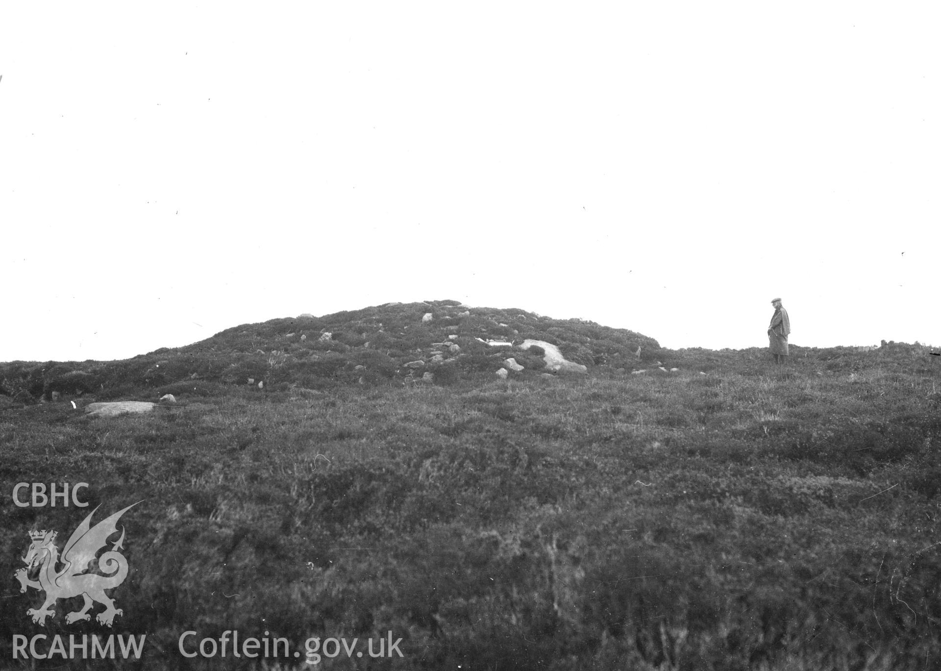 Digital copy of a nitrate negative showing Creigiau Eglwyseg Cairn